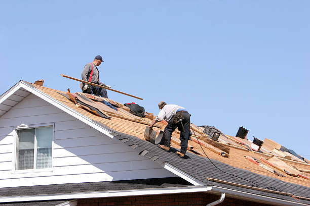 Best Roofing for New Construction  in Thoreau, NM